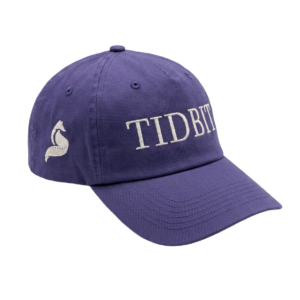 TIDBIT Cap (Purple & Silver)